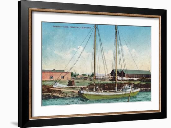 A Shipping Schooner Scene - Petaluma, CA-Lantern Press-Framed Art Print