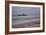 A Shipwreck Near Cape Cross, Namibia-Alex Saberi-Framed Photographic Print