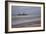 A Shipwreck Near Cape Cross, Namibia-Alex Saberi-Framed Photographic Print