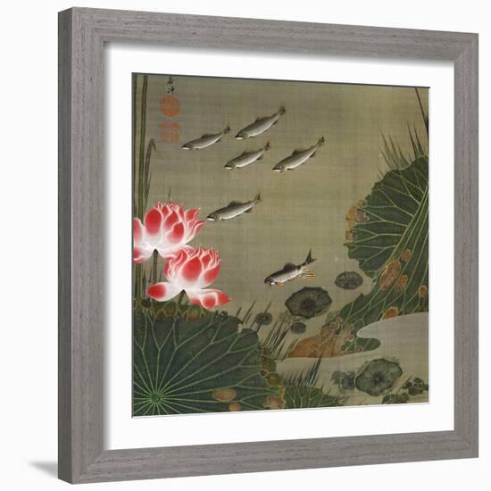 A Shoal of Trout and Lotus-Jakuchu Ito-Framed Giclee Print