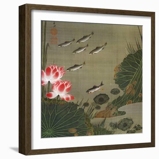 A Shoal of Trout and Lotus-Jakuchu Ito-Framed Giclee Print