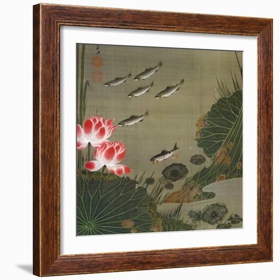 A Shoal of Trout and Lotus-Jakuchu Ito-Framed Giclee Print