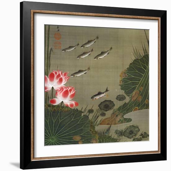 A Shoal of Trout and Lotus-Jakuchu Ito-Framed Giclee Print