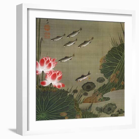 A Shoal of Trout and Lotus-Jakuchu Ito-Framed Giclee Print