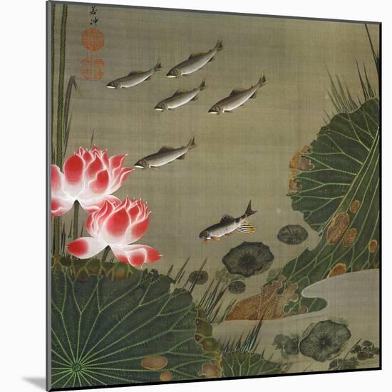 A Shoal of Trout and Lotus-Jakuchu Ito-Mounted Giclee Print