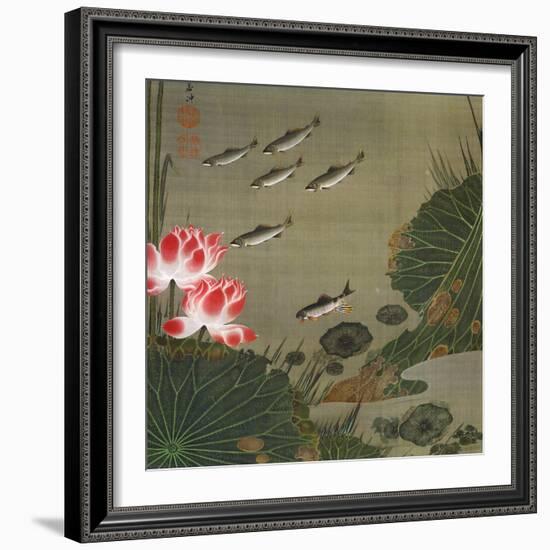 A Shoal of Trout and Lotus-Jakuchu Ito-Framed Giclee Print