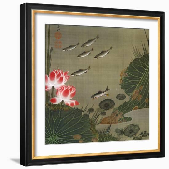 A Shoal of Trout and Lotus-Jakuchu Ito-Framed Giclee Print