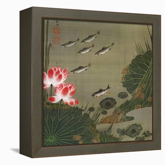 A Shoal of Trout and Lotus-Jakuchu Ito-Framed Premier Image Canvas