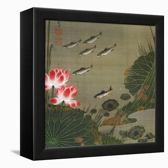 A Shoal of Trout and Lotus-Jakuchu Ito-Framed Premier Image Canvas