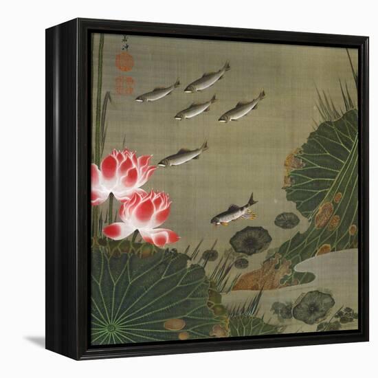 A Shoal of Trout and Lotus-Jakuchu Ito-Framed Premier Image Canvas