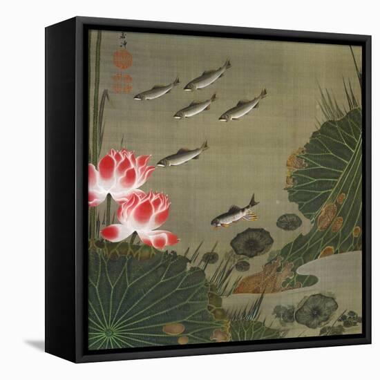 A Shoal of Trout and Lotus-Jakuchu Ito-Framed Premier Image Canvas