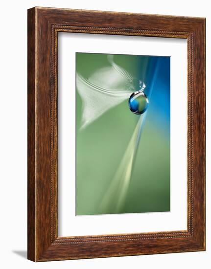 A short brake-Heidi Westum-Framed Photographic Print