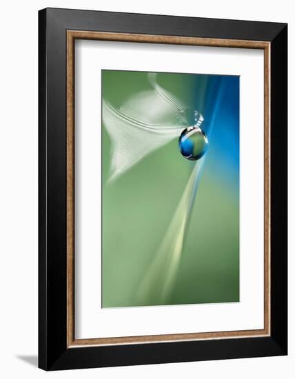 A short brake-Heidi Westum-Framed Photographic Print