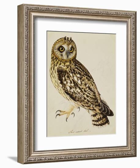 A Short-Eared Owl-Christopher Atkinson-Framed Giclee Print