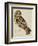 A Short-Eared Owl-Christopher Atkinson-Framed Giclee Print