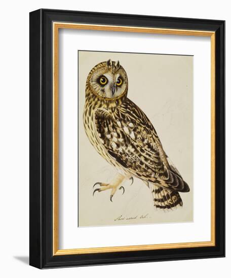 A Short-Eared Owl-Christopher Atkinson-Framed Giclee Print