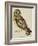 A Short-Eared Owl-Christopher Atkinson-Framed Giclee Print