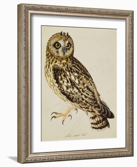 A Short-Eared Owl-Christopher Atkinson-Framed Giclee Print