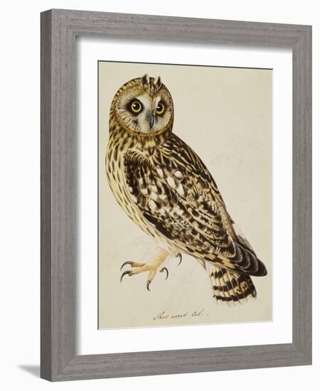 A Short-Eared Owl-Christopher Atkinson-Framed Giclee Print