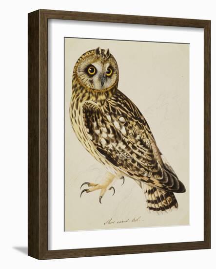 A Short-Eared Owl-Christopher Atkinson-Framed Giclee Print