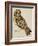 A Short-Eared Owl-Christopher Atkinson-Framed Giclee Print