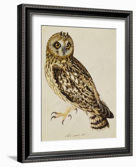 A Short-Eared Owl-Christopher Atkinson-Framed Giclee Print