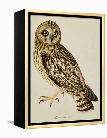 A Short-Eared Owl-Christopher Atkinson-Framed Premier Image Canvas