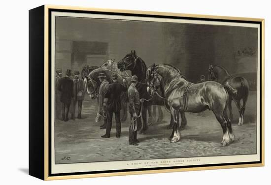 A Show of the Shire Horse Society-null-Framed Premier Image Canvas