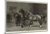 A Show of the Shire Horse Society-null-Mounted Giclee Print