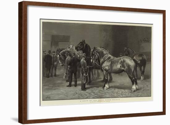 A Show of the Shire Horse Society-null-Framed Giclee Print