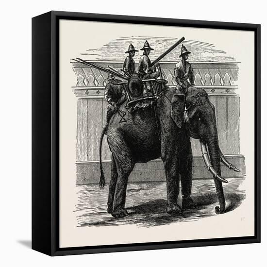 A Siamese War Elephant-null-Framed Premier Image Canvas