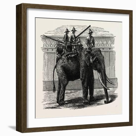 A Siamese War Elephant-null-Framed Giclee Print