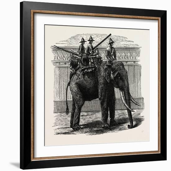 A Siamese War Elephant-null-Framed Giclee Print