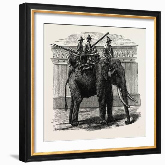 A Siamese War Elephant-null-Framed Giclee Print