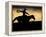 A Silhouetted Cowboy Riding Alone a Ridge at Sunset in Shell, Wyoming, USA-Joe Restuccia III-Framed Premier Image Canvas