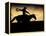 A Silhouetted Cowboy Riding Alone a Ridge at Sunset in Shell, Wyoming, USA-Joe Restuccia III-Framed Premier Image Canvas