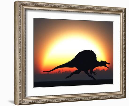 A Silhouetted Spinosaurus Sprinting Against a Setting Set at the End of a Jurassic Day-Stocktrek Images-Framed Photographic Print