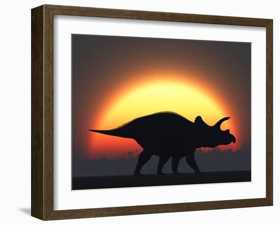 A Silhouetted Triceratops Strolling Past a Setting Sun at the End of a Prehistoric Day-Stocktrek Images-Framed Photographic Print