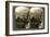 A Silkworm Plantation in the Lebanon Mountains, Syria, 1900s-Underwood & Underwood-Framed Giclee Print