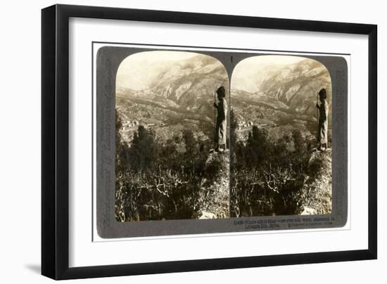 A Silkworm Plantation in the Lebanon Mountains, Syria, 1900s-Underwood & Underwood-Framed Giclee Print