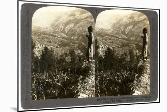 A Silkworm Plantation in the Lebanon Mountains, Syria, 1900s-Underwood & Underwood-Mounted Giclee Print