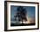 A Silver Birch, Betula Pendula, at Sunset-Alex Saberi-Framed Photographic Print