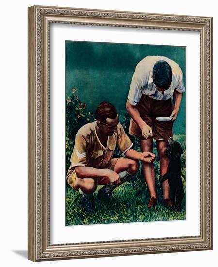 A Singapore Mascot of the Raf, 1940-null-Framed Giclee Print