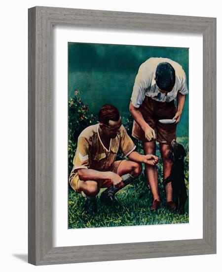 A Singapore Mascot of the Raf, 1940-null-Framed Giclee Print