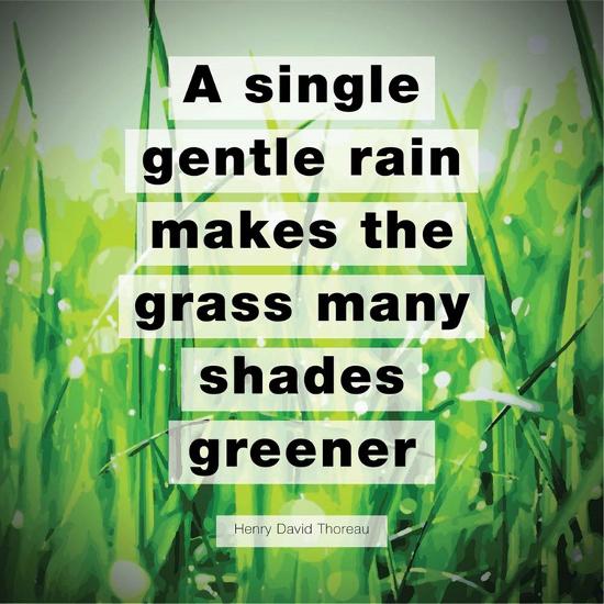 A Single Gentle Rain Henry Thoreau Quote Vibrant Art Print By