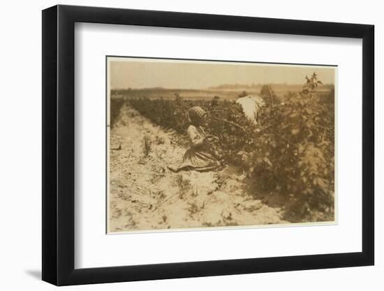 A Six Year Old Polish Girl Picking Berries All Day with Her Family (Scholtz) at Rock Creek Near Bal-Lewis Wickes Hine-Framed Photographic Print