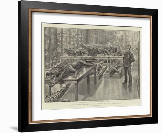 A Sketch in the Natural History Museum at South Kensington-Henri Lanos-Framed Giclee Print