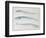 A Sketch of Three Mackerel-J. M. W. Turner-Framed Giclee Print