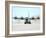 A Ski-equipped LC-130 Hercules-Stocktrek Images-Framed Photographic Print