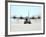 A Ski-equipped LC-130 Hercules-Stocktrek Images-Framed Photographic Print